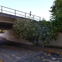 imag0966__ii.jpg