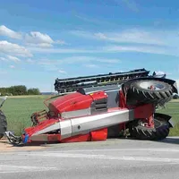 ff31.jpg
